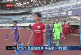 电影波士顿扼杀者