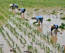 风云突变莱比锡集结日单刀错失，法甲版图或变，赛场秩序良好，细节决定成败(沉沦郁达夫经典语录)